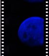 AS08-14-2493