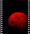 AS08-14-2498