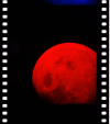 AS08-14-2503