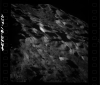 AS08-18-2834