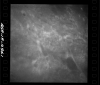 AS08-18-2841