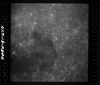 AS08-18-2846