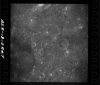 AS08-18-2847