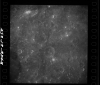 AS08-18-2848
