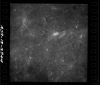 AS08-18-2849