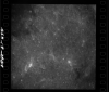 AS08-18-2869