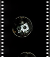 AS09-19-2911