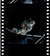 AS09-19-2982