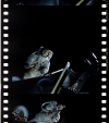 AS09-19-2983