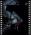 AS09-19-2999