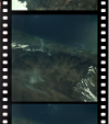 AS09-19-3016