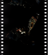 AS09-20-3054