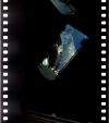 AS09-20-3084