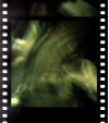 AS09-20-3104E