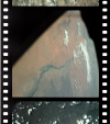 AS09-20-3111