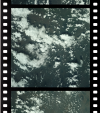 AS09-20-3113