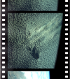 AS09-20-3121