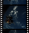 AS09-21-3204