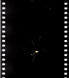 AS09-21-3246