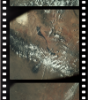 AS09-21-3293