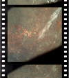 AS09-21-3294