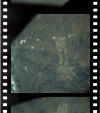 AS09-21-3298