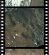 AS09-21-3306