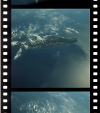 AS09-21-3315