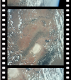 AS09-22-3329