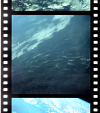 AS09-23-3510
