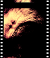 AS09-26A-3810A