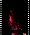 AS09-26A-3815A