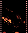 AS09-26A-3825A