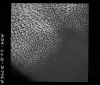 AS09-26B-3778B
