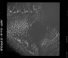AS09-26B-3842B