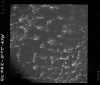 AS09-26B-3847B