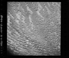 AS09-26D-3719D