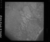 AS09-26D-3725D