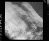 AS09-26D-3775D