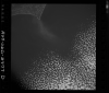 AS09-26D-3777D