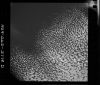 AS09-26D-3778D