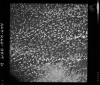 AS09-26D-3819D