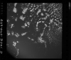 AS09-26D-3841D