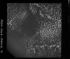 AS09-26D-3842D