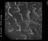 AS09-26D-3844D