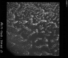 AS09-26D-3845D