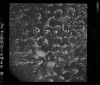 AS09-26D-3846D