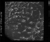 AS09-26D-3847D