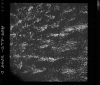 AS09-26D-3848D