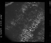 AS09-26D-3852D